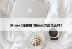 宋max6座价格/宋max六座怎么样?