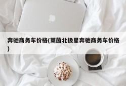 奔驰商务车价格(莱茵北极星奔驰商务车价格)