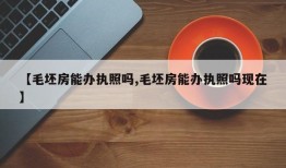 【毛坯房能办执照吗,毛坯房能办执照吗现在】