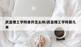 武昌理工学院条件怎么样/武昌理工学院算几本