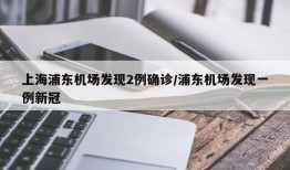 上海浦东机场发现2例确诊/浦东机场发现一例新冠