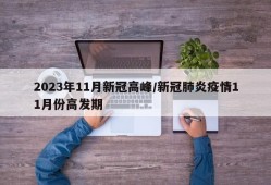 2023年11月新冠高峰/新冠肺炎疫情11月份高发期