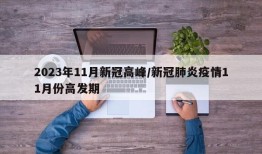 2023年11月新冠高峰/新冠肺炎疫情11月份高发期
