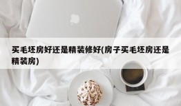 买毛坯房好还是精装修好(房子买毛坯房还是精装房)