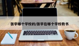 张宇哪个学校的/张宇在哪个学校教书
