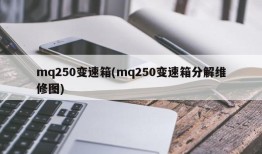 mq250变速箱(mq250变速箱分解维修图)