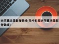 大学重庆录取分数线(华中科技大学重庆录取分数线)