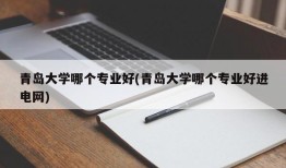 青岛大学哪个专业好(青岛大学哪个专业好进电网)