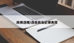 政绩违规/违反政治纪律表现