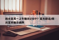 四川宜宾一上午确诊250个？官方辟谣/四川宜宾确诊病例