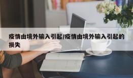 疫情由境外输入引起/疫情由境外输入引起的损失