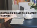 四川航天大学是学什么的(四川航天大学是学什么的专业)