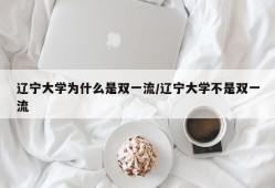 辽宁大学为什么是双一流/辽宁大学不是双一流