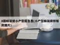 8图精装修小户型房急售(小户型精装修样板房图片)