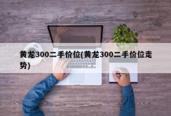 黄龙300二手价位(黄龙300二手价位走势)