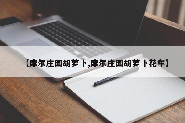 【摩尔庄园胡萝卜,摩尔庄园胡萝卜花车】