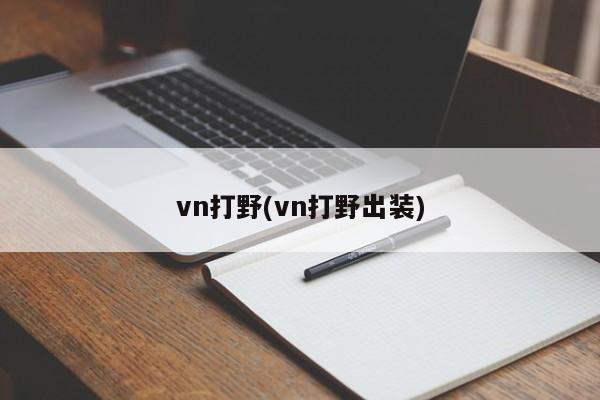 vn打野(vn打野出装)